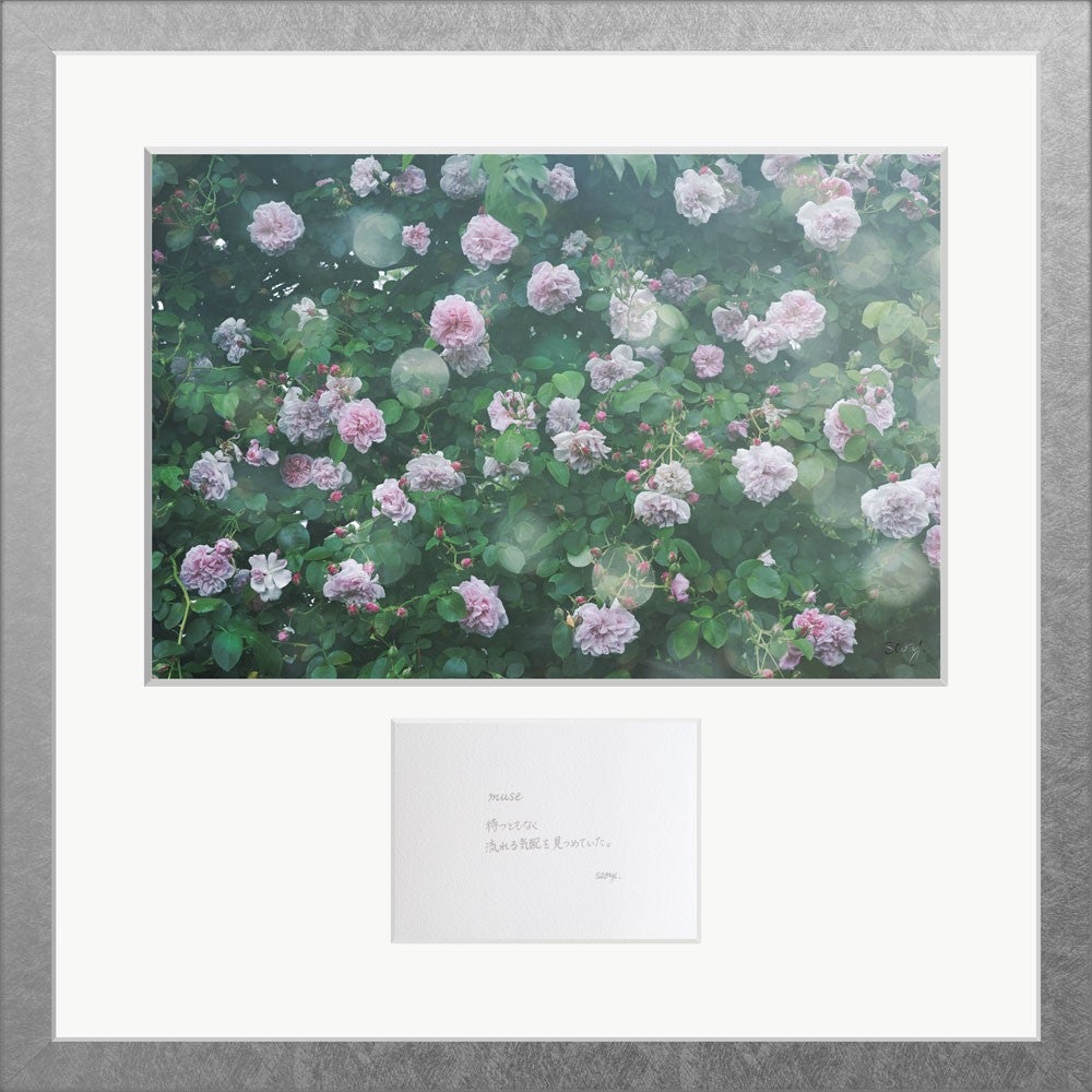 カート | Island Gallery ONLINE